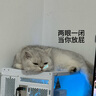 费利威经典 猫咪应激 扩散器和补充液48ml套装喷雾20ml组合装 法国进口 实拍图