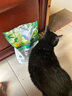 LEGENDSANDY蓝氏全价猫粮成猫幼猫生骨肉冻干粮  猎鸟乳鸽6.18kg 实拍图