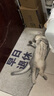 憨憨乐园猫指甲剪LED灯宠物猫咪狗狗剪指甲钳子神器指甲刀带灯美容工具J 实拍图