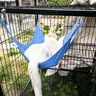 憨憨宠 猫笼 大号方管猫笼子家用带厕所猫屋猫舍猫别墅繁殖笼幼猫成猫笼 黑色 四层置物架140款猫笼 实拍图