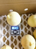 京觅宁波奉化水蜜桃 8枚装 单果200-250g 玉露 当季新鲜水果 源头直发 实拍图