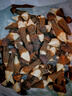 松見云南特产新鲜黑皮鸡枞菌菇鸡枞菌新鲜菌菇汤菌类现采现发顺丰速发 【1000克】新鲜黑皮鸡枞菌 实拍图