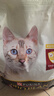 冠能猫粮 成猫猫粮鸡肉味10kg 全价猫粮 稳固免疫 适口性强 实拍图