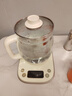 小熊（Bear）养生壶 1.5L煮茶壶烧水壶 可拆卸茶篮 煮茶器电水壶 恒温电热水壶 保温花茶壶 YSH-E15W7  实拍图