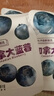 浙梅蓝莓干500g 孕妇儿童零食蜜饯水果干酸甜休闲下午茶健康零食 实拍图