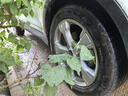 固特异（Goodyear）汽车轮胎235/50R18 101W EF1 SPORT鹰驰F1酷跑 适配福特翼虎/大众 实拍图