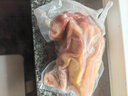 硒全食美富硒老鸽王 450g/只 冷冻 供港鸽子生鲜冷链 煲汤优选卤煮食材 实拍图