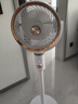 已接入小米家APP选空气循环扇家用落地扇立式台式电风扇一级能效 白金机械版-9D摇头 实拍图