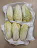 云南高原娃娃菜新鲜蔬菜生鲜乾隆白菜早餐火锅必备产地直发 浅黄色 新鲜娃娃菜3颗装*1包 实拍图