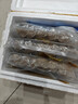 潮万赞牛肉丸潮汕手打牛筋丸正宗潮州特产牛肉丸子火锅食材烧烤关东煮 金装纯牛肉丸2斤+牛筋丸1斤 实拍图