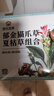 神农金康猫爪草郁金蒲公英夏枯草组合190g 散结茶乳腺结 去郁金蒲公英结节 实拍图