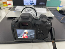 佳能（Canon）r6二代全画幅微单相机 vlog视频数码高清R62代 EOS R6 Mark II专业级微单 R6二代套机RF24-105mm USM镜头 套餐三【升级双卡双充双电+机顶闪光灯+摄影 晒单实拍图