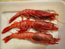 哆鲜生 超大红魔虾 远洋捕捞胭脂魔鬼红虾鲜活冷冻生腌刺身级生鲜虾类 特大号 5-6条/盒 300g(净重) 实拍图