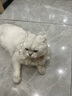 皇家成猫猫粮 口感型 ES35通用粮12月以上10KG 实拍图
