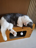 京七鲜肉猫粮无谷成猫幼猫全阶段通用型猫咪猫食品90%高肉益生菌配方 【升级版含20%冻干】四拼猫粮 1斤（500g试吃装） 实拍图