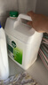滴露（Dettol）消毒液5L大桶装消毒水家用商用工业车间酒店物业衣物环境消毒杀菌 实拍图