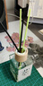 真便宜茶系香氛除臭家用卧室内持久除味冬日必备生日礼物 茶味香薰-满陇桂雨-100ml-1盒装 实拍图