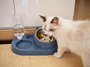 憨憨乐园 猫碗狗碗宠物食盆猫咪双碗粮盆自动饮水机喝水器喂食用品 蓝 实拍图