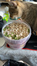 味当家冻干猫零食霸王冻干桶3拼580g猫草冻干鸡肉粒生骨肉猫狗零食宠物 实拍图