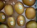 佳沛（zespri）新西兰  阳光金奇异果10粒礼盒巨大果单果约144-175g 水果 猕猴桃 实拍图