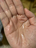 宝芝林 PO CHI LAM生姜按摩精油spa按摩精油开背推拿刮痧油拔罐全身通经络发热男女 实拍图