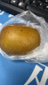 佳沛（zespri）新西兰阳光金奇异果10粒礼盒巨大果单果约144-175g水果猕猴桃 实拍图