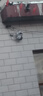 霸天安高清摄像头监控室外无线wifi家庭监控器家用手机远程360度无死角带夜视全景语音旋转可对话户外 实拍图