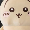 名创优品（MINISO）chiikawa大号站姿公仔毛绒玩偶玩具抱枕娃娃儿童女友生日礼物吉伊 实拍图