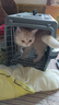 腆宠宠物航空箱大号 猫咪航空箱猫狗 猫包猫笼外出车载猫箱狗狗托运 实拍图