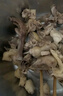 鲜京采 巴西进口原切牛肋肉 2斤 牛肋条 炖煮 京东自有品牌 【真原切】 实拍图