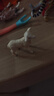 思乐（Schleich S）新年礼物仿真农场家禽动物模型羊驼猪兔羊驴猪火鸡男女孩儿童玩具 小羊13883 实拍图