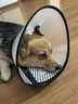 欢宠网 伊丽莎白圈耻辱圈大号狗狗项圈猫项圈宠物狗脖套猫头套防咬圈狗用品2号30斤以下宠物 实拍图
