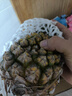 海南金钻凤梨 新鲜水果手撕凤梨孕妇水果 果园直发整箱包邮非菠萝 【尝鲜】1粒装凤梨 单果500g起 实拍图