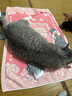 多特思猫零食猫条混合口味15g*200支0添加肉粉0诱食猫咪零食湿粮 实拍图