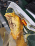乡吧佬盐焗鸡腿 正宗巴即食鸡腿休闲零食充饥肉类熟食肉干肉铺80g*10袋 实拍图