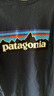 巴塔哥尼亚（Patagonia）男女情侣通勤短袖夏季P-6 Logo混纺棉休闲潮流户外透气T恤 38504 ABNB S 实拍图