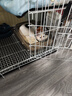 憨憨宠猫笼折叠猫笼子大号猫别墅加粗加密双层猫舍猫窝宠物猫咪用品家用 白色 700双层 实拍图