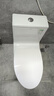 箭牌（ARROW）T51抽水马桶虹吸坐便器普通座便坐厕 1级水效AE12617UM 305坑距 实拍图