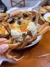 【活蟹】阳澄佳缘大闸蟹 现货鲜活大螃蟹公母蟹 海鲜水产生鲜礼盒 公5.0-5.3两母4.0-4.3两4对8只 实拍图
