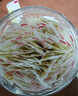 百花  蜂王浆鲜王浆 300g（3g*100袋）中华老字号 蜂皇浆 节日礼品 实拍图