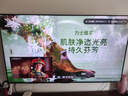 海信电视小墨E5Q Pro 65英寸超画质U+Mini LED 信芯芯片 墨晶屏300Hz 65E5Q-PRO E5NPRO+升级国家补贴 实拍图