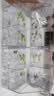 宠小帅鱼缸斗鱼排缸客厅小型造景透明盒生态观赏亚克力桌面创意多格鱼缸 【双层】四格造景套餐 实拍图