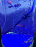 sobo松宝 鱼缸氧气泵 水族箱增氧泵 养鱼氧气泵  水族用品 双孔3.5W 【贈全套配件】 实拍图