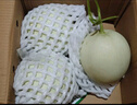 京鲜生 山东玉菇甜瓜 3-4粒 净重8-9斤装 单果2斤起 水果 源头直发 实拍图