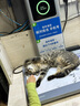 皇家皇家成猫猫粮 肠道舒适 EP42通用粮12月以上2KG 实拍图