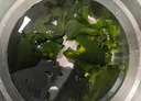 方家铺子 霞浦紫菜100g 福建特产 海产干货海带虾皮蛋花煲汤海苔食材 实拍图