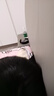 欧莱雅茶树植萃洗发水控油去屑滋养洗发露700ml(男士 女士 无硅油 去屑) 实拍图