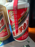 茅台（MOUTAI）第十届酒博会 酱香型白酒 53度 500ml 单瓶装 实拍图