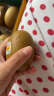 佳沛（zespri）新西兰 金果12粒猕猴桃礼盒特大果单果约122-146g 端午节水果礼盒 实拍图