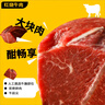 莫小小莫红烧牛肉浇头200g预制菜肴半成品方便懒人菜料理包加热即食 实拍图